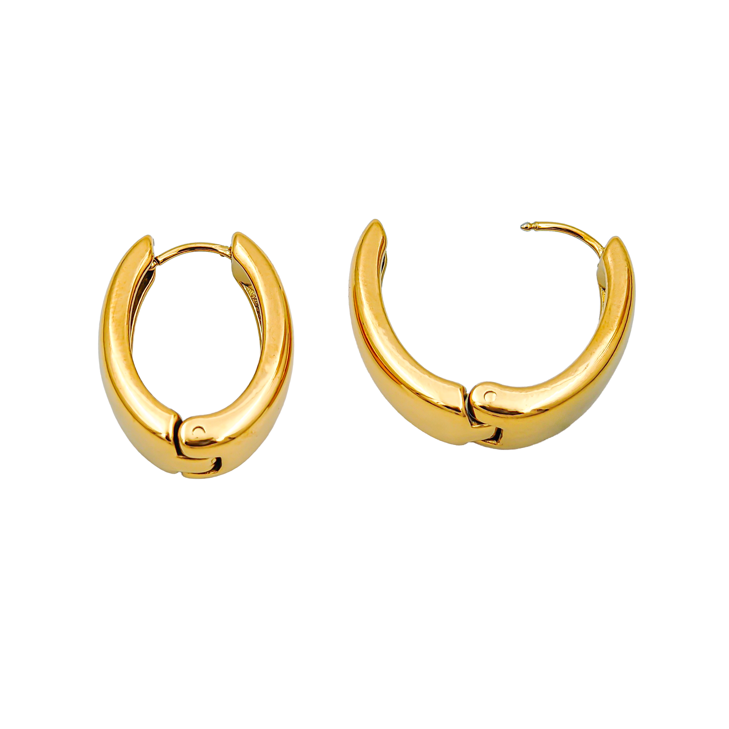 SreeVanna Classic Bold Hoop Earrings